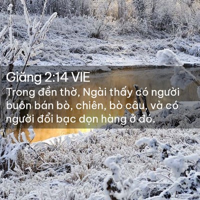 Picture 02 - Giăng 2:14 VIE - Trong đền thờ, Ngài thấy có người - Bible Verse Picture