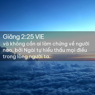 Picture 02 - Giăng 2:25 VIE - và không cần ai làm chứng về người - Bible Verse Picture