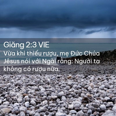 Picture 02 - Giăng 2:3 VIE - Vừa khi thiếu rượu, mẹ Đức Chúa - Bible Verse Picture