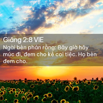 Picture 02 - Giăng 2:8 VIE - Ngài bèn phán rằng: Bây giờ hãy múc - Bible Verse Picture