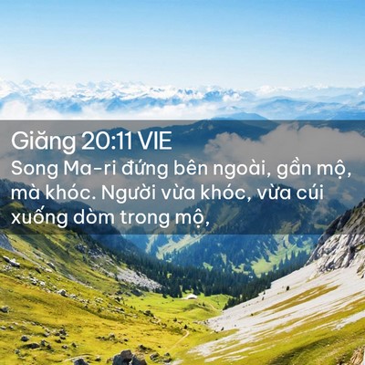 Picture 02 - Giăng 20:11 VIE - Song Ma-ri đứng bên ngoài, gần mộ, mà - Bible Verse Picture