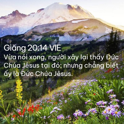 Picture 02 - Giăng 20:14 VIE - Vừa nói xong, người xây lại thấy - Bible Verse Picture