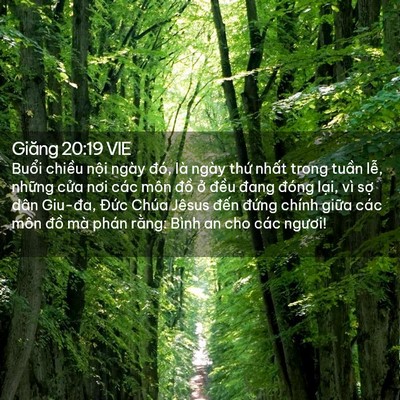 Picture 02 - Giăng 20:19 VIE - Buổi chiều nội ngày đó, là ngày thứ - Bible Verse Picture