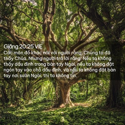 Picture 02 - Giăng 20:25 VIE - Các môn đồ khác nói với người rằng: - Bible Verse Picture