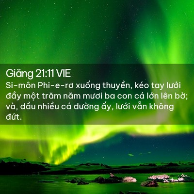 Picture 02 - Giăng 21:11 VIE - Si-môn Phi-e-rơ xuống thuyền, kéo tay - Bible Verse Picture