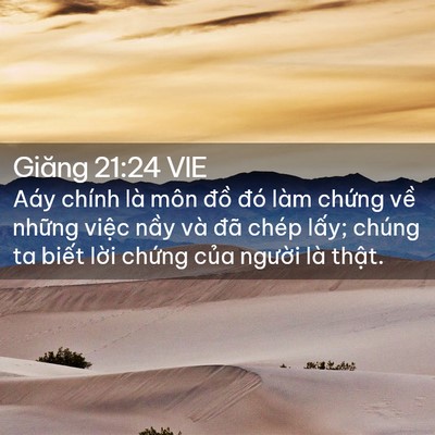 Picture 02 - Giăng 21:24 VIE - Aáy chính là môn đồ đó làm chứng về - Bible Verse Picture