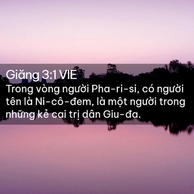 Picture 02 - Giăng 3:1 VIE - Trong vòng người Pha-ri-si, có người tên - Bible Verse Picture