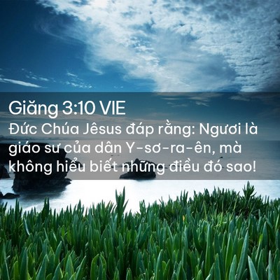 Picture 02 - Giăng 3:10 VIE - Đức Chúa Jêsus đáp rằng: Ngươi là - Bible Verse Picture