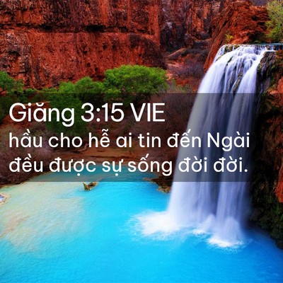 Picture 02 - Giăng 3:15 VIE - hầu cho hễ ai tin đến Ngài đều - Bible Verse Picture