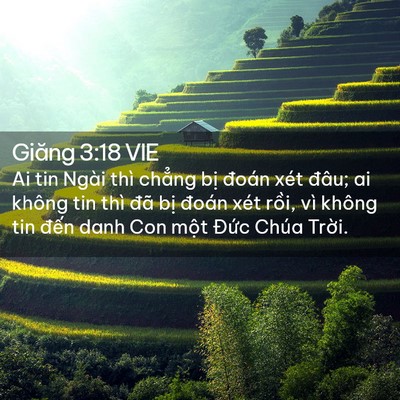 Picture 02 - Giăng 3:18 VIE - Ai tin Ngài thì chẳng bị đoán xét đâu; - Bible Verse Picture