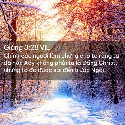 Picture 02 - Giăng 3:28 VIE - Chính các ngươi làm chứng cho ta rằng ta - Bible Verse Picture