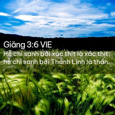 Picture 02 - Giăng 3:6 VIE - Hễ chi sanh bởi xác thịt là xác thịt; - Bible Verse Picture