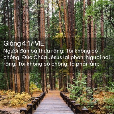 Picture 02 - Giăng 4:17 VIE - Người đàn bà thưa rằng: Tôi không có - Bible Verse Picture