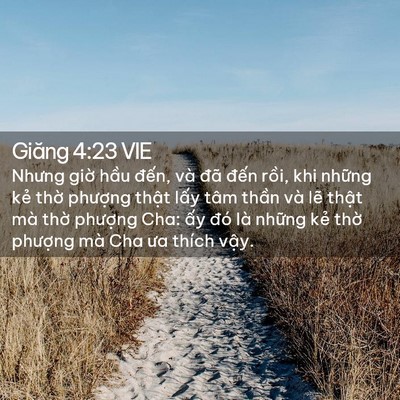 Picture 02 - Giăng 4:23 VIE - Nhưng giờ hầu đến, và đã đến rồi, - Bible Verse Picture