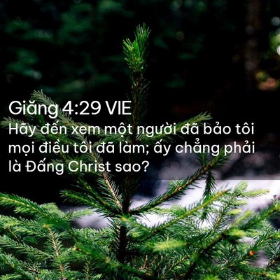 Picture 02 - Giăng 4:29 VIE - Hãy đến xem một người đã bảo tôi - Bible Verse Picture