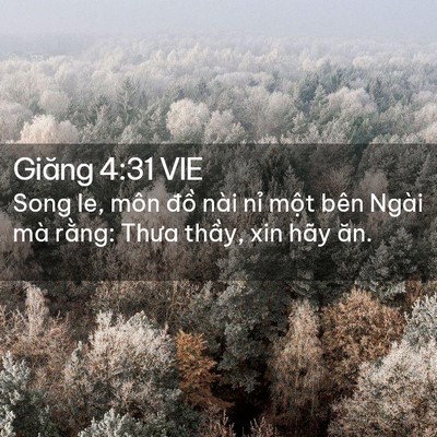 Picture 02 - Giăng 4:31 VIE - Song le, môn đồ nài nỉ một bên Ngài - Bible Verse Picture