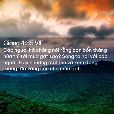 Picture 02 - Giăng 4:35 VIE - Các ngươi há chẳng nói rằng còn bốn - Bible Verse Picture