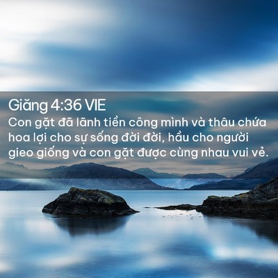 Picture 02 - Giăng 4:36 VIE - Con gặt đã lãnh tiền công mình và thâu - Bible Verse Picture