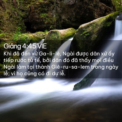 Picture 02 - Giăng 4:45 VIE - Khi đã đến xứ Ga-li-lê, Ngài được - Bible Verse Picture