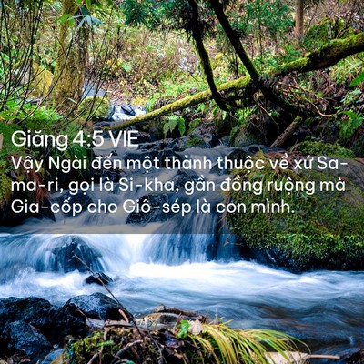 Picture 02 - Giăng 4:5 VIE - Vậy Ngài đến một thành thuộc về xứ - Bible Verse Picture