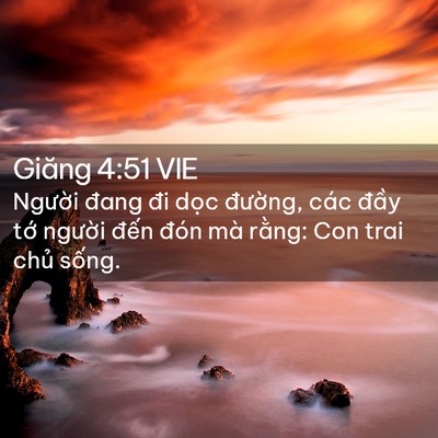 Picture 02 - Giăng 4:51 VIE - Người đang đi dọc đường, các đầy - Bible Verse Picture