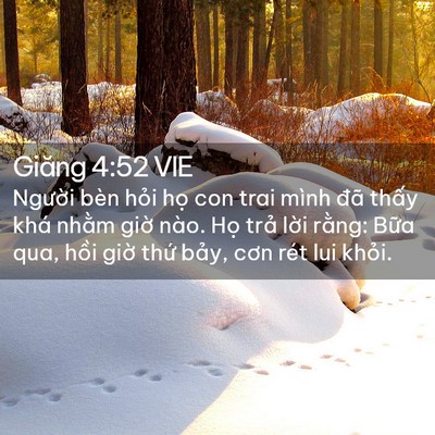 Picture 02 - Giăng 4:52 VIE - Người bèn hỏi họ con trai mình đã - Bible Verse Picture