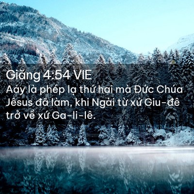 Picture 02 - Giăng 4:54 VIE - Aáy là phép lạ thứ hai mà Đức Chúa - Bible Verse Picture