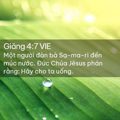 Picture 02 - Giăng 4:7 VIE - Một người đàn bà Sa-ma-ri đến múc - Bible Verse Picture