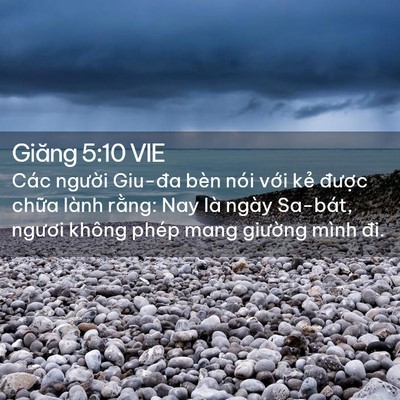Picture 02 - Giăng 5:10 VIE - Các người Giu-đa bèn nói với kẻ - Bible Verse Picture