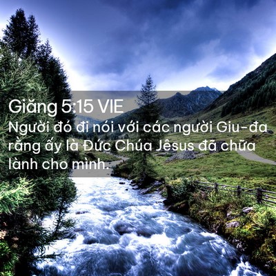 Picture 02 - Giăng 5:15 VIE - Người đó đi nói với các người - Bible Verse Picture