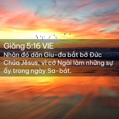 Picture 02 - Giăng 5:16 VIE - Nhân đó dân Giu-đa bắt bớ Đức Chúa - Bible Verse Picture