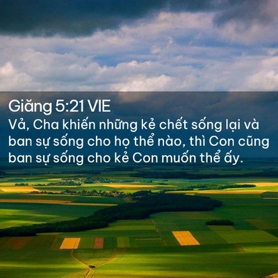 Picture 02 - Giăng 5:21 VIE - Vả, Cha khiến những kẻ chết sống - Bible Verse Picture
