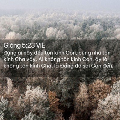 Picture 02 - Giăng 5:23 VIE - đặng ai nấy đều tôn kính Con, cũng - Bible Verse Picture