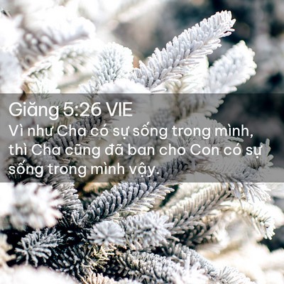 Picture 02 - Giăng 5:26 VIE - Vì như Cha có sự sống trong mình, thì - Bible Verse Picture