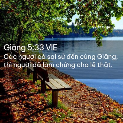Picture 02 - Giăng 5:33 VIE - Các ngươi có sai sứ đến cùng Giăng, - Bible Verse Picture