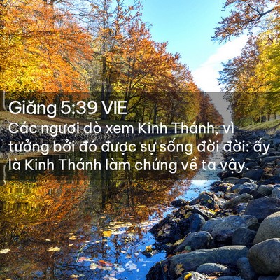 Picture 02 - Giăng 5:39 VIE - Các ngươi dò xem Kinh Thánh, vì tưởng - Bible Verse Picture