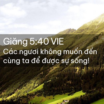 Picture 02 - Giăng 5:40 VIE - Các ngươi không muốn đến cùng ta để - Bible Verse Picture