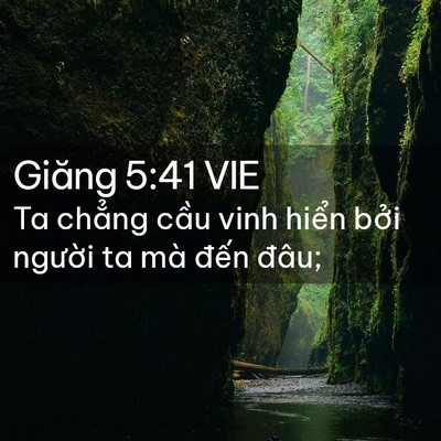 Picture 02 - Giăng 5:41 VIE - Ta chẳng cầu vinh hiển bởi người ta - Bible Verse Picture