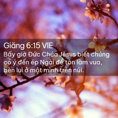 Picture 02 - Giăng 6:15 VIE - Bấy giờ Đức Chúa Jêsus biết chúng có - Bible Verse Picture
