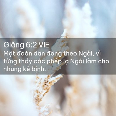 Picture 02 - Giăng 6:2 VIE - Một đoàn dân đông theo Ngài, vì từng - Bible Verse Picture