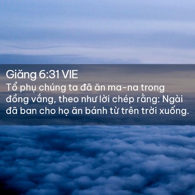 Picture 02 - Giăng 6:31 VIE - Tổ phụ chúng ta đã ăn ma-na trong đồng - Bible Verse Picture