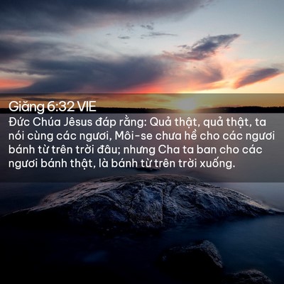 Picture 02 - Giăng 6:32 VIE - Đức Chúa Jêsus đáp rằng: Quả thật, - Bible Verse Picture