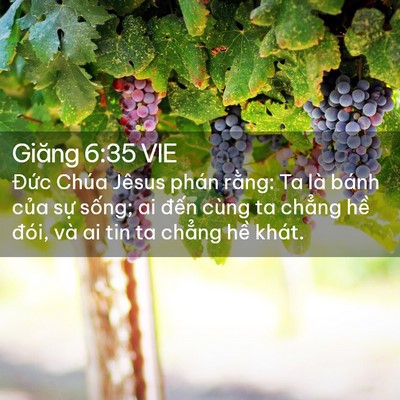 Picture 02 - Giăng 6:35 VIE - Đức Chúa Jêsus phán rằng: Ta là bánh - Bible Verse Picture