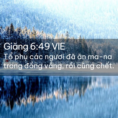 Picture 02 - Giăng 6:49 VIE - Tổ phụ các ngươi đã ăn ma-na trong - Bible Verse Picture