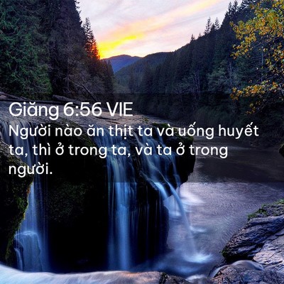 Picture 02 - Giăng 6:56 VIE - Người nào ăn thịt ta và uống huyết - Bible Verse Picture