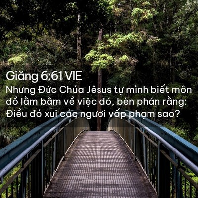 Picture 02 - Giăng 6:61 VIE - Nhưng Đức Chúa Jêsus tự mình biết môn - Bible Verse Picture