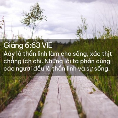 Picture 02 - Giăng 6:63 VIE - Aáy là thần linh làm cho sống, xác thịt - Bible Verse Picture