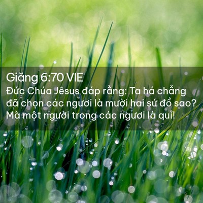 Picture 02 - Giăng 6:70 VIE - Đức Chúa Jêsus đáp rằng: Ta há chẳng - Bible Verse Picture