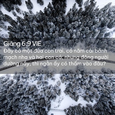 Picture 02 - Giăng 6:9 VIE - Đây có một đứa con trai, có năm cái - Bible Verse Picture