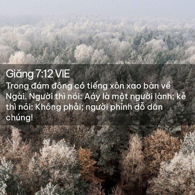 Picture 02 - Giăng 7:12 VIE - Trong đám đông có tiếng xôn xao bàn về - Bible Verse Picture